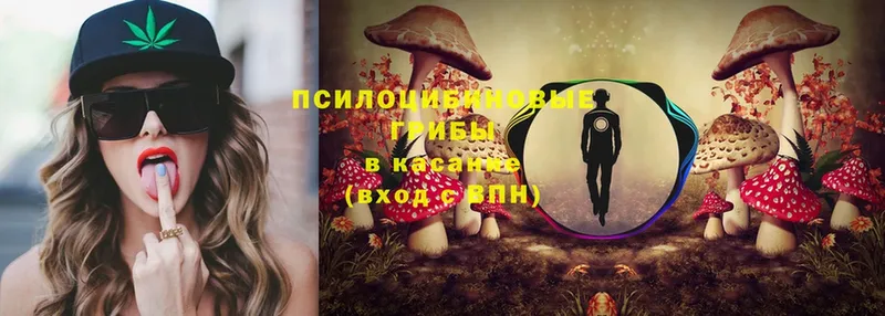 Галлюциногенные грибы Magic Shrooms  продажа наркотиков  Десногорск 